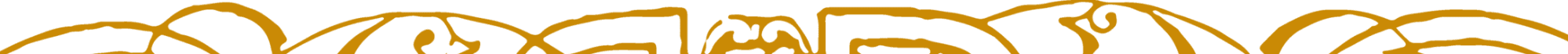 Bottom Border